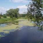  Rzeka Sona - gm. Sońsk